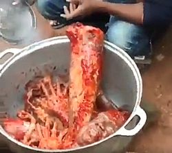 Menschenfleisch fressen in Afrika